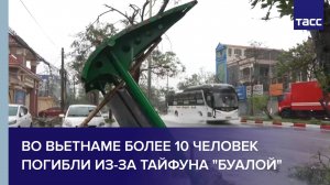 Во Вьетнаме более 10 человек погибли из-за тайфуна "Буалой"