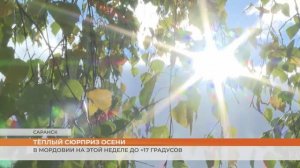 Мордовия встретит октябрь теплом
