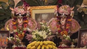 Дамодараштака Вологда,2014