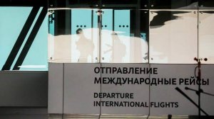 В аэропорту Жуковский ввели временные ограничения на работу