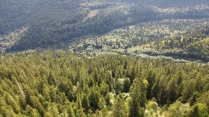 Учет оленя 2025.