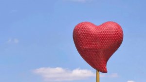 День сердца. Такое утро