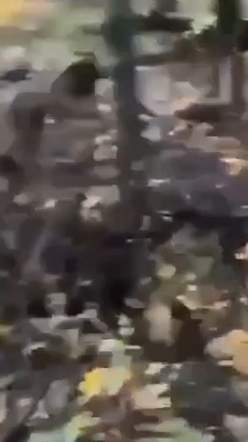 Наши штурмовики взяли в плен очередную группу боевиков киевского режима. смотреть онлайн