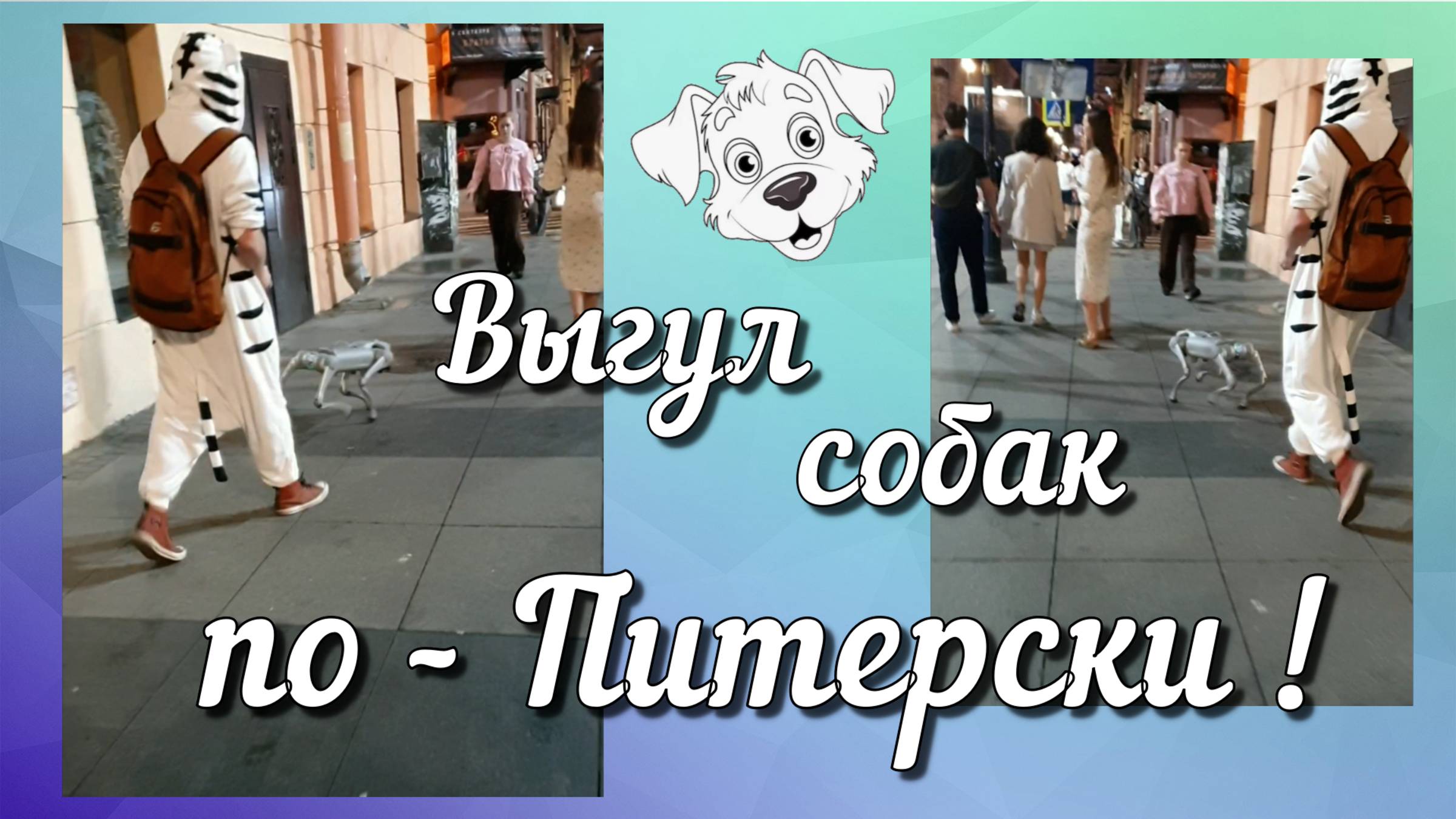 Выгул собак по - Питерски! 🐶 Собаковод из БУДУЩЕГО !!!  #питер смотреть онлайн