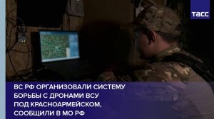 ВС РФ организовали систему борьбы с дронами ВСУ под Красноармейском, сообщили в МО РФ