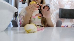 уничтожение всяких сквишей