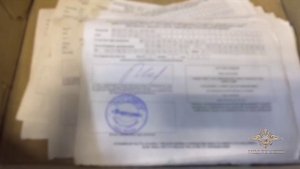 Ирина Волк: Полицейские задержали 3 мужчин по подозрению в организации канала нелегальной миграции