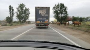 Отдых в Дагестане