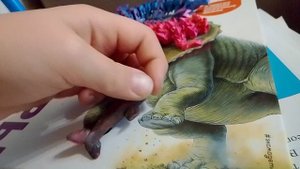 Правда ли то что мегалодон самая большая акула в мире