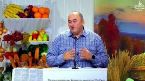 Что сеем мы в своей жизни?