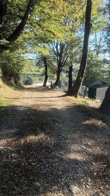 красивые виды смотреть онлайн