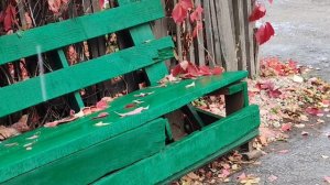 29-09-2025 дождик в деревне