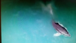 Сценарий жизни нашей пишут в Поднебесье. читает автор Богдан Бандура.