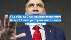 Суд обязал Саакашвили выплатить более $3 млн, растраченных в годы президентства