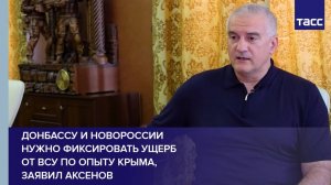 Донбассу и Новороссии нужно фиксировать ущерб от ВСУ по опыту Крыма, заявил Аксенов