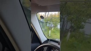 Антенна для приема УКВ 66-74 МГц на магнитолу только с FM диапазоном 87,5-108 МГц это Триада-160