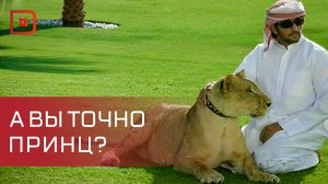 Житель Чечни, с помощью шантажа получил от махачкалинки более 1 миллиона рублей