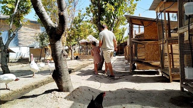 Тоскана в Узбекистане #экофермаКоса #Узбекистан #природа  #виноградники  #путешествие #uzbekistan