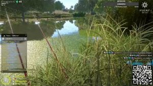 Рыбалин На донце  Таранька пополняет кошелек