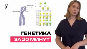 Генетика