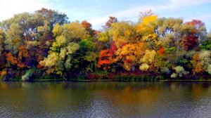 ЗОЛОТАЯ ОСЕНЬ