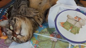 не болталка ,а ворчалка, ♥️♥️🤣♥️