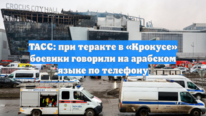 ТАСС: при теракте в «Крокусе» боевики говорили на арабском языке по телефону