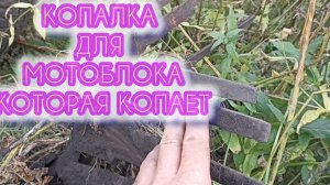 Веерная копалка для мотоблока из окучника вполне хорошо работает.Копка  картошки продолжается.