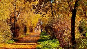 Осени напевы 🍁🍂🍁, Асбест, Средний Урал