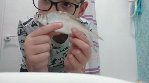 1 часть показываю рыбу