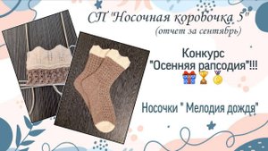 СП "Носочная коробочка 5"/ Отчет за сентябрь/ Конкурс "Осенняя рапсодия"/ Носочки "Мелодия дождя"