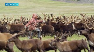 ВЛАДИМИР ПУТИН НАПУТСТВОВАЛ ВЛАДИМИРА СОЛОДОВА И ДРУГИХ ИЗБРАННЫХ ГЛАВ РЕГИОНОВ РОССИИ • НОВОСТИ