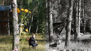 Оказывает ли Александр Дугин влияние на Владимира Путина?