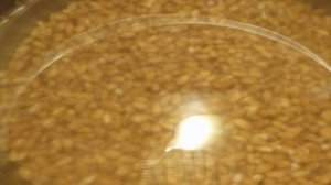 Кутья с яблоками