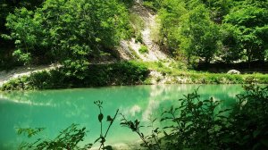 Б\о Коза Ностра