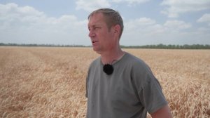 КФК Деревянко Балацкий.Ю.А