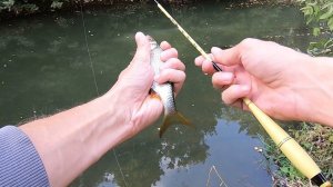 Микро-Поплавок.Танаго. Ловля На Микро-Речке.#tanagofishing #рыбалка #fishing