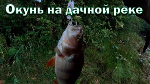Рыбалка на дачной реке! Ловля окуня на вертушки!