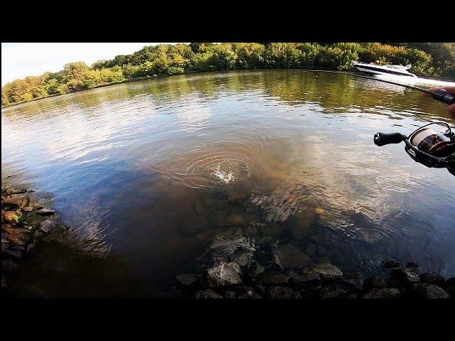 МикроДжиг. Окуни и Судаки. Совместный Выезд На КИМ.#микроджиг#fishing #рыбалкавмоскве смотреть онлайн