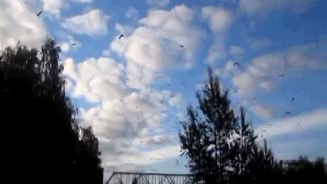 Игорь Ширяев  Выбор