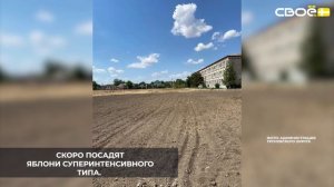 В образовательных учреждениях села Донского и посёлка имени Кирова