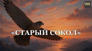 СТАРЫЙ СОКОЛ - песня AI на стихи Сергея Марченко / WELES MASTER