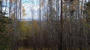 13. Гора Вишнёвая Вишенная Вишельная (836 метров). Хребет Уралтау. 21 сентября 2025 года.