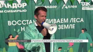 Лес из 4000 саженцев появится возле поселка Памяти 13 борцов в Красноярском крае