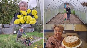 В ТЕПЛИЦЕ И НА ГРЯДКАХ ПОРЯДОК, А У МЕНЯ УЖЕ ГОТОВА ШАРЛОТКА В МУЛЬТИВАРКЕ.