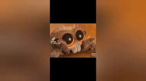 Только писюны по стенам!