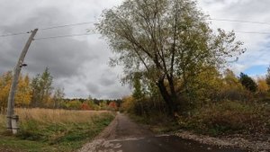 После моря на дачу. Тоже неплохо!