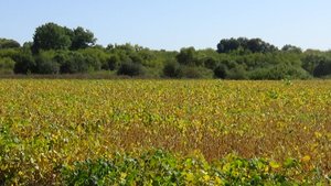 карта прохоровского района белгородской области подробная с деревнями