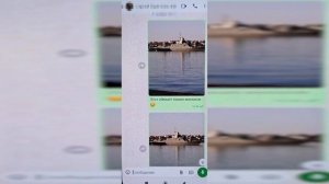 Задержание женщины-повара в Севастополе, которая хотела отравить бойцов СВО