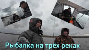 Как мы от рыбы уехали...